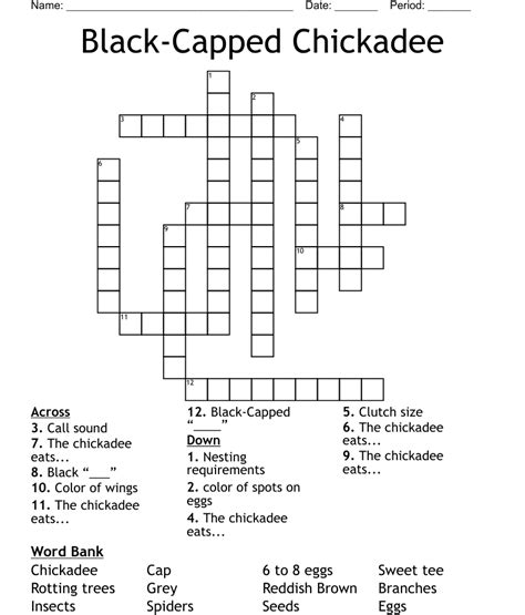 chickadee crossword